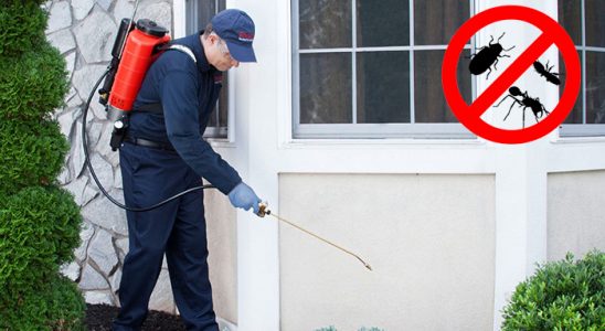 Demirköy Bit İlaçlama böcek ilaçlama ve haşere kontrolü — ilaclama-tr.com